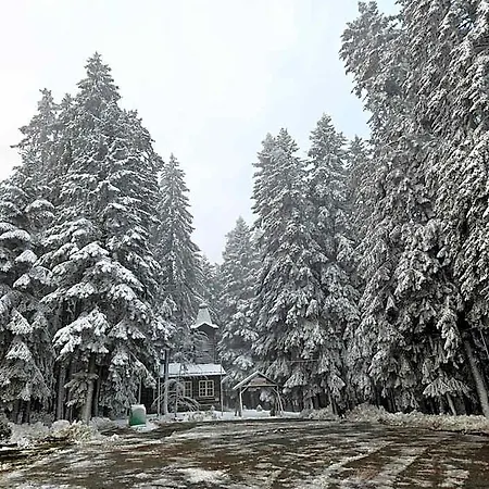 Enjoy And Lovely Park بليتشينغ