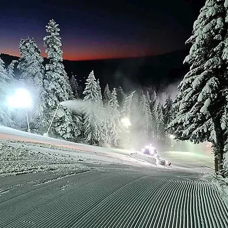 Enjoy And Lovely Park 4* بليتشينغ